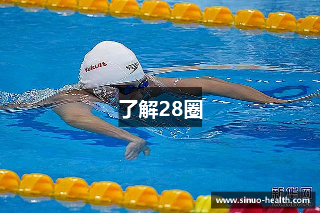 了解28圈